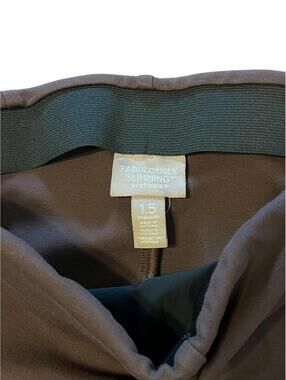 Chicos Fabulously Slimming Brown Stretchy Pants